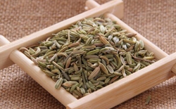 如何選擇茶葉包裝機(jī)廠家？選擇標(biāo)準(zhǔn)解析茶葉包裝機(jī)廠家。